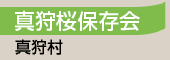 真狩桜保存会／真狩村