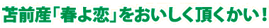 苫前産「春よ恋」をおいしく頂くかい!